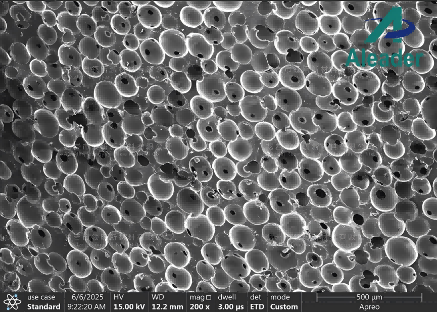 microporous elastomer under SEM